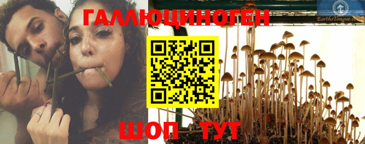 Юрга  Галлюциногенные грибы Psilocybe  где можно купить наркотик  Вход с VPN 